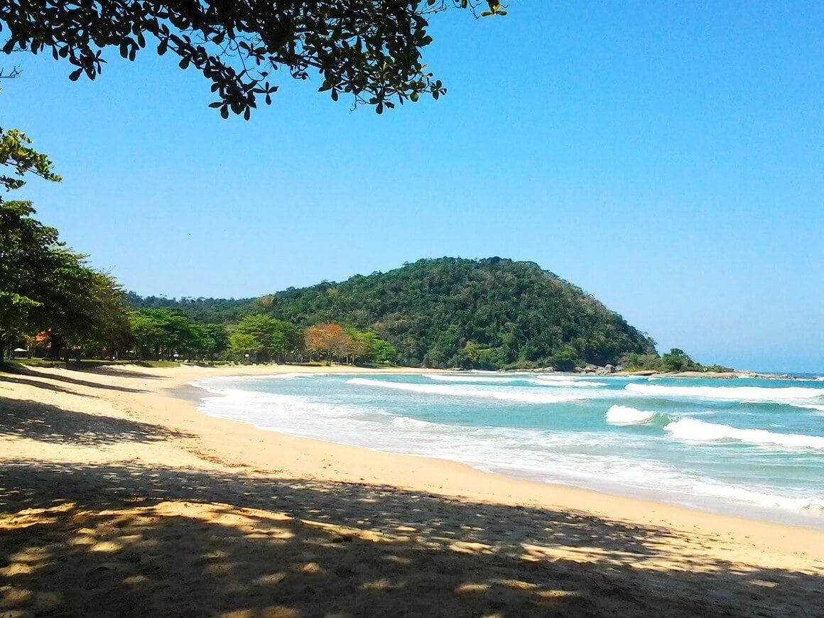 View of an empty beach between the sea and the jungle in Brazil.