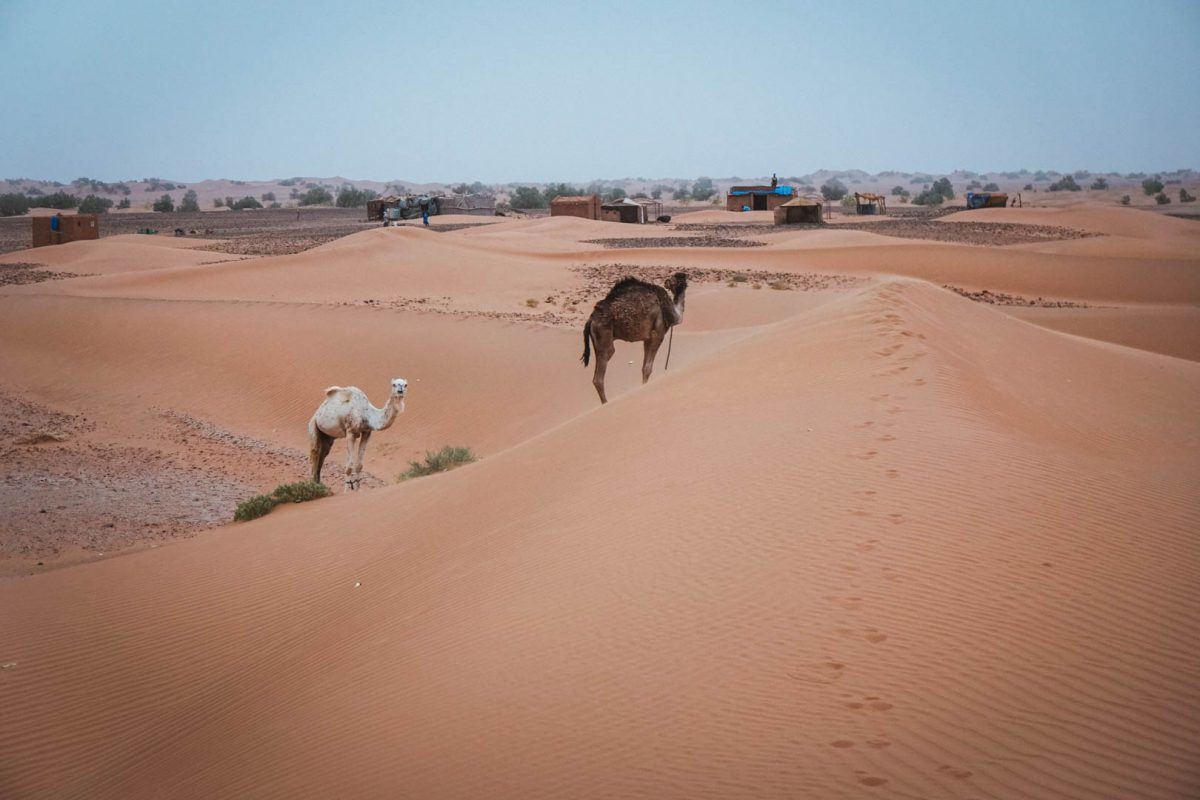 Views of the Sahara dessert in Morocco