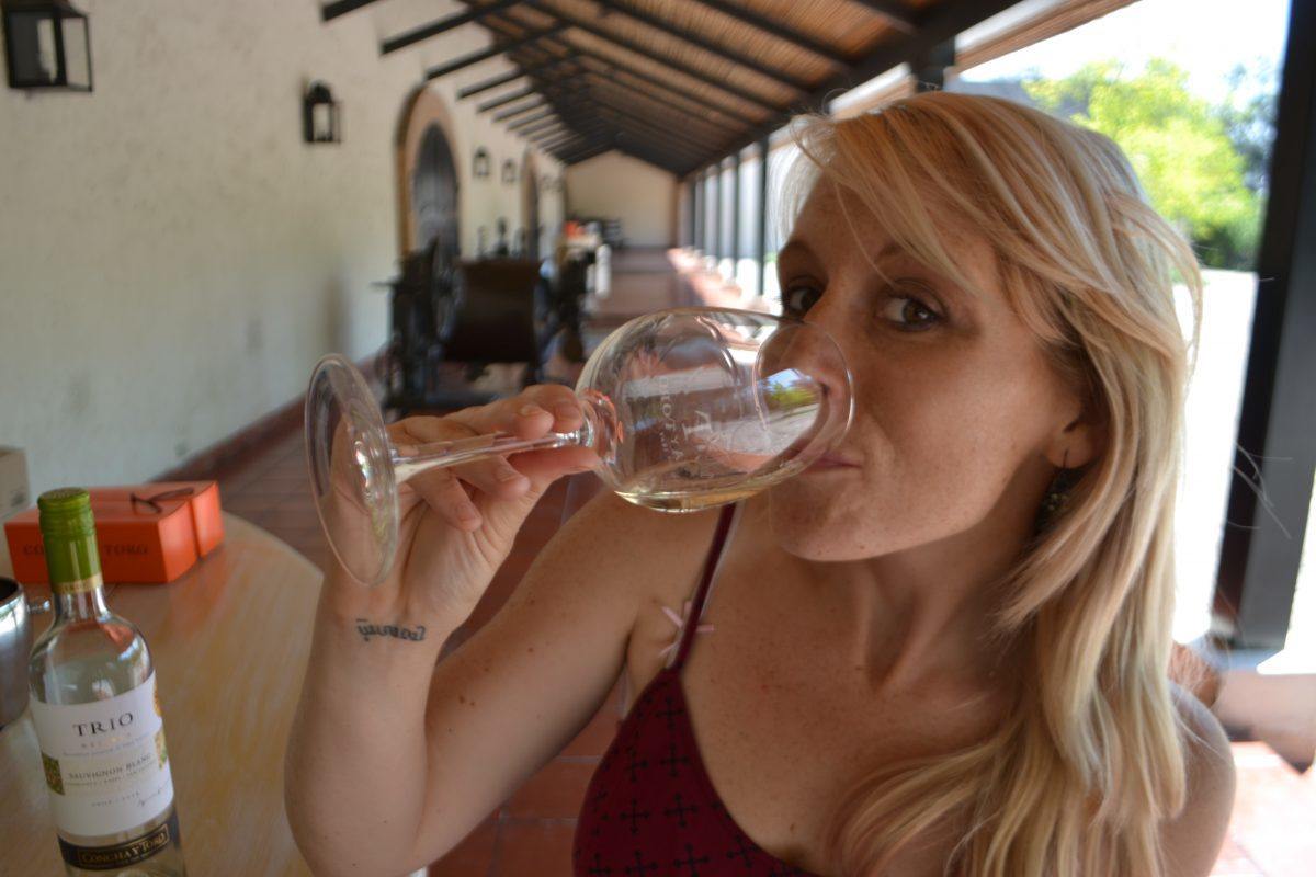 backpacking Chile Winery