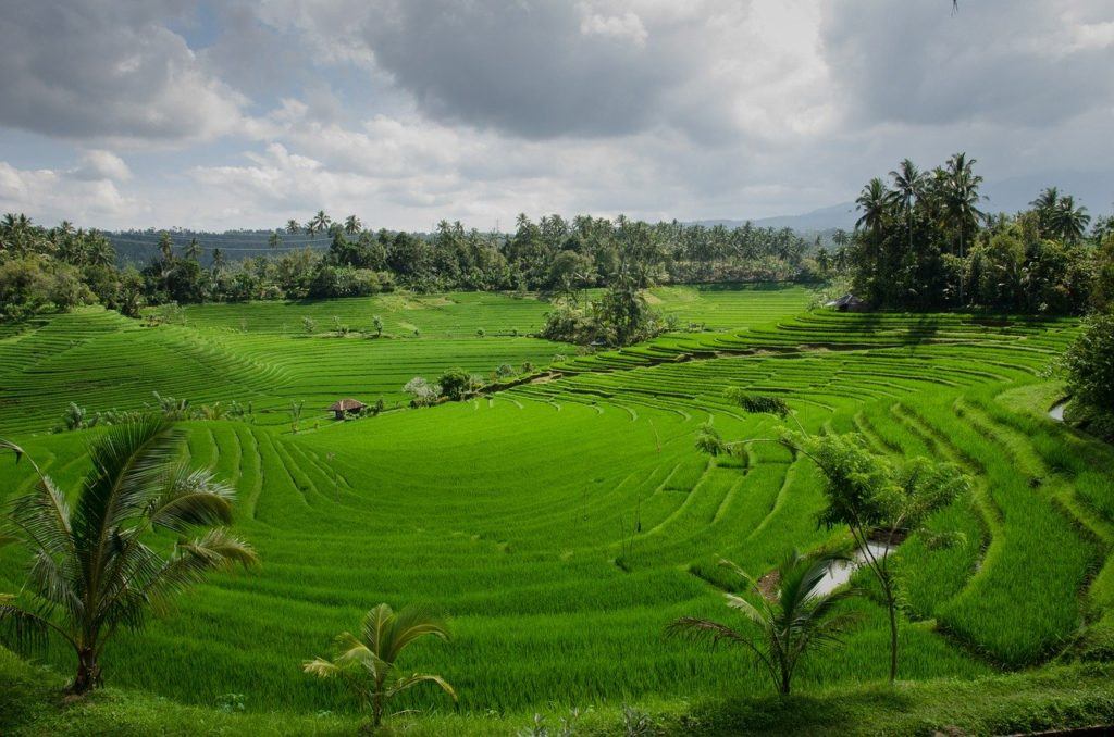 Bali