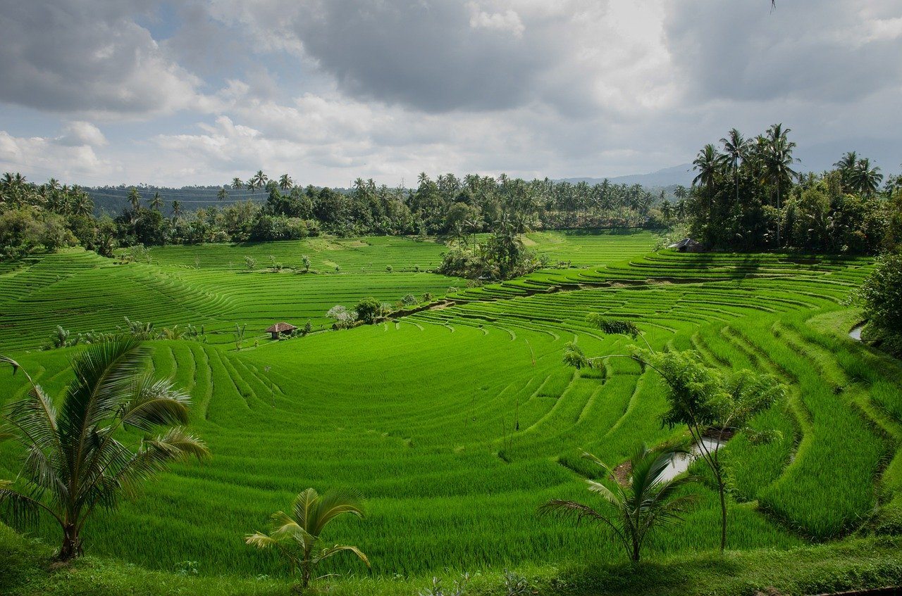 Final Thoughts WTS Bali