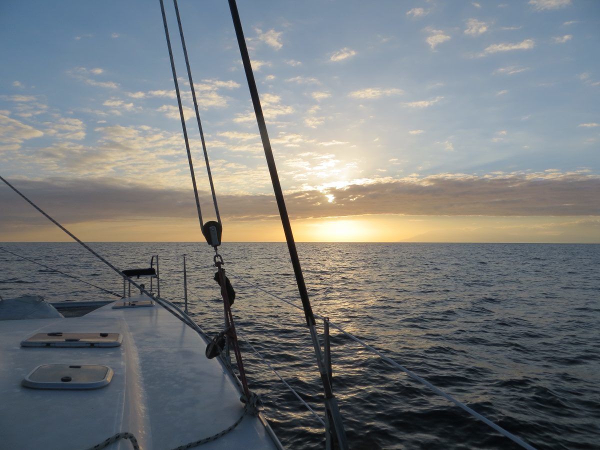 scuba diving in the bay islands
