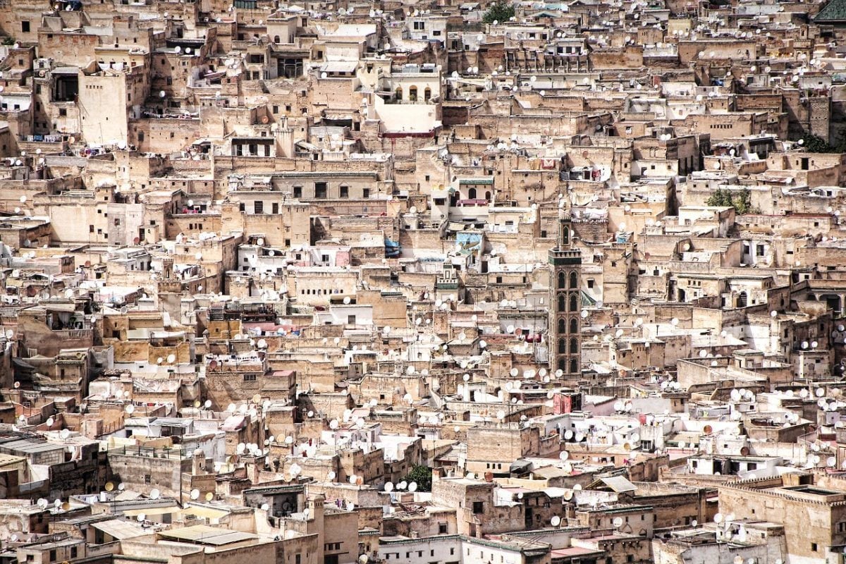 hundreds of rooftops while backpacking fes