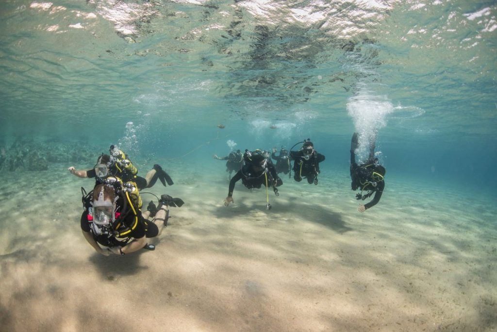 Military divers perform drills in the Red Sea.