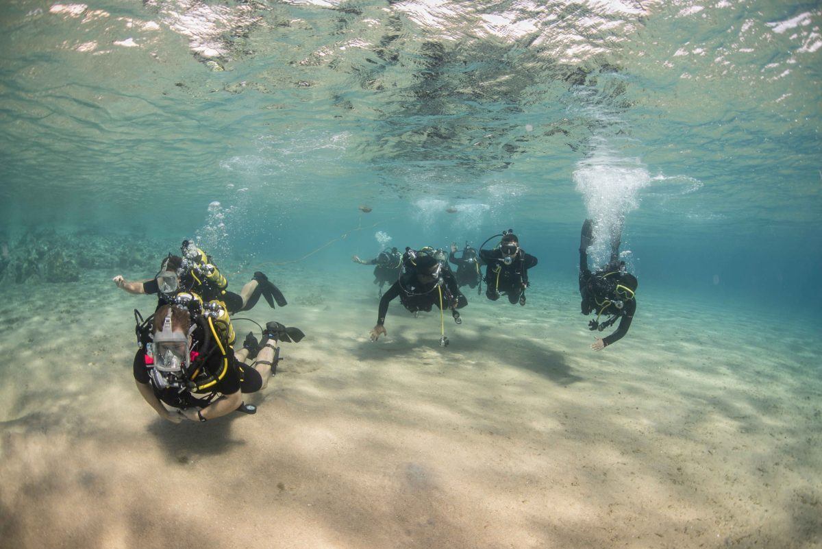 A scuba diving centre in Eilat running an introductory course in the Red Sea