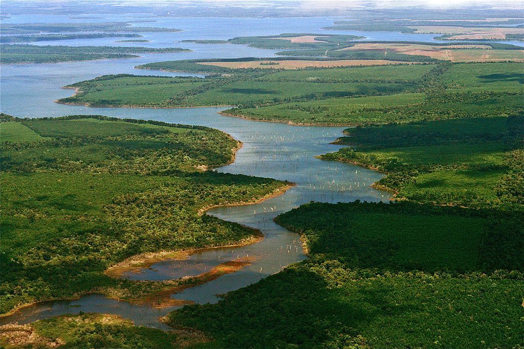 aerial view of ibera wetlands argentina