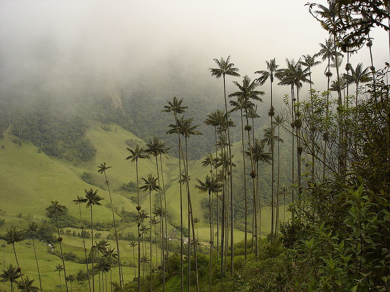 hiking in colombia