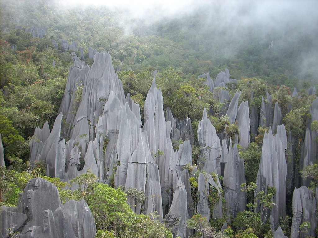 Limestone towers in Gunung Mulu National Park - awesome place to visit in Malaysia for hiking