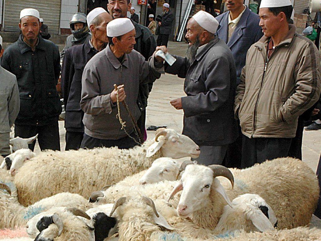 men haggling for sheep