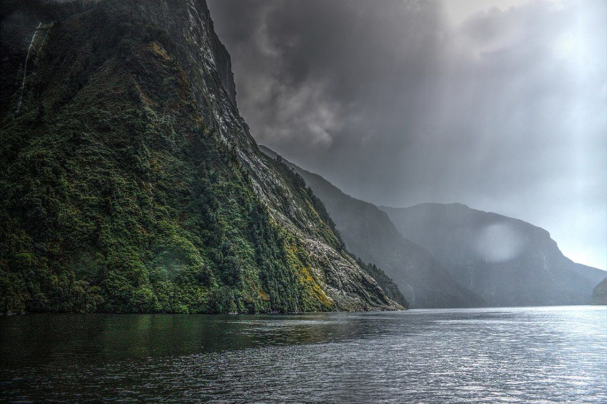 Visiting milford sound while backpacking New Zealand