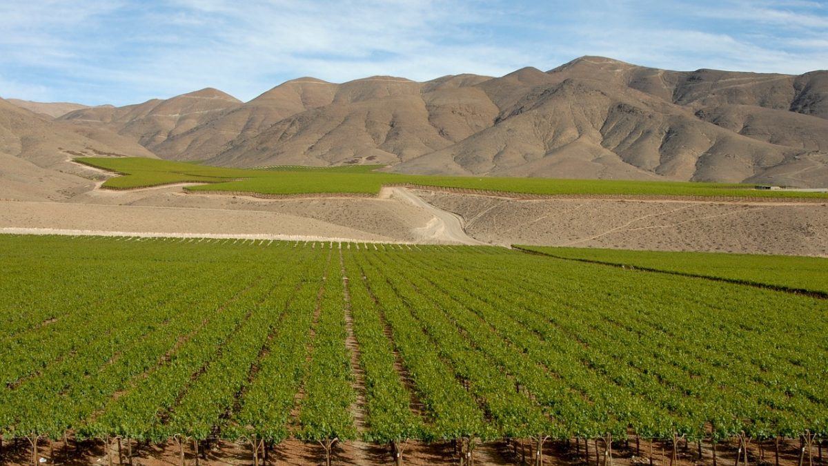 visit a Chile winery