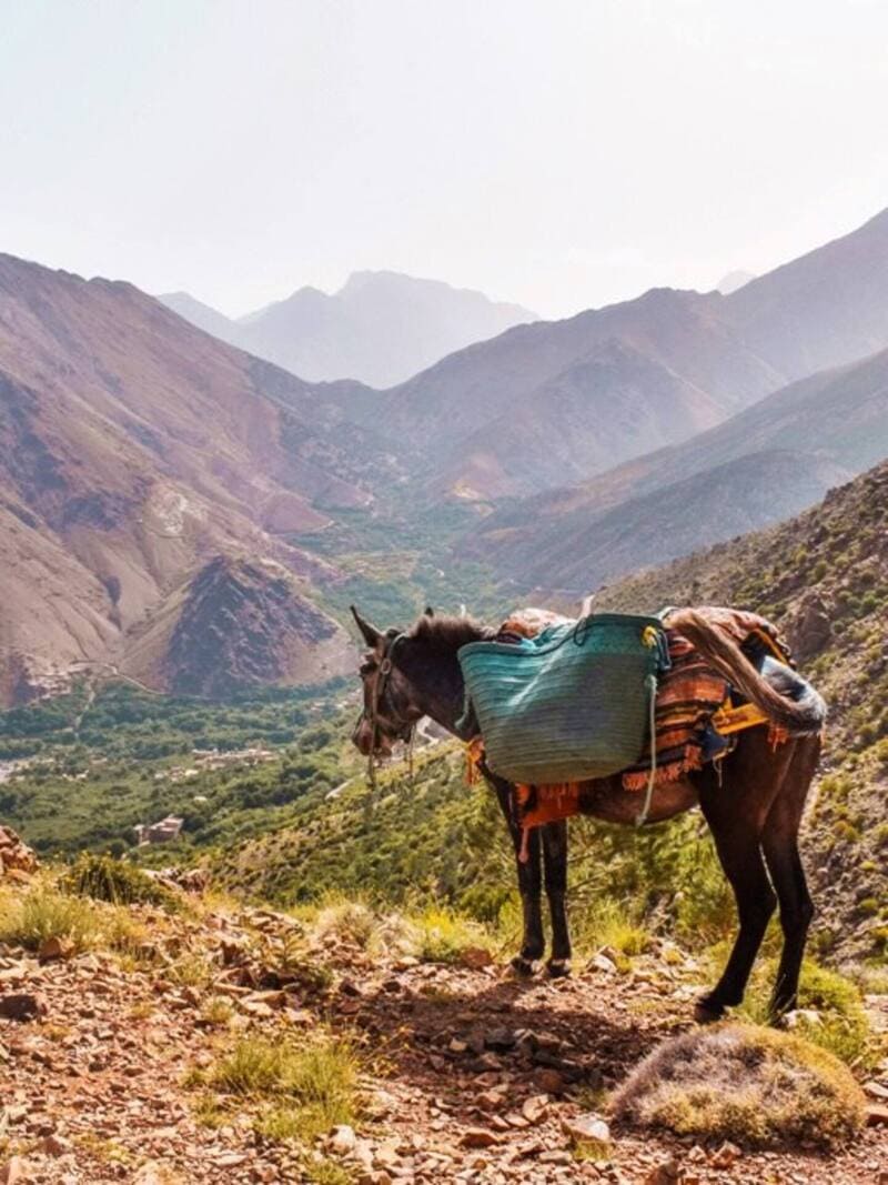 Hang out with the Berbers