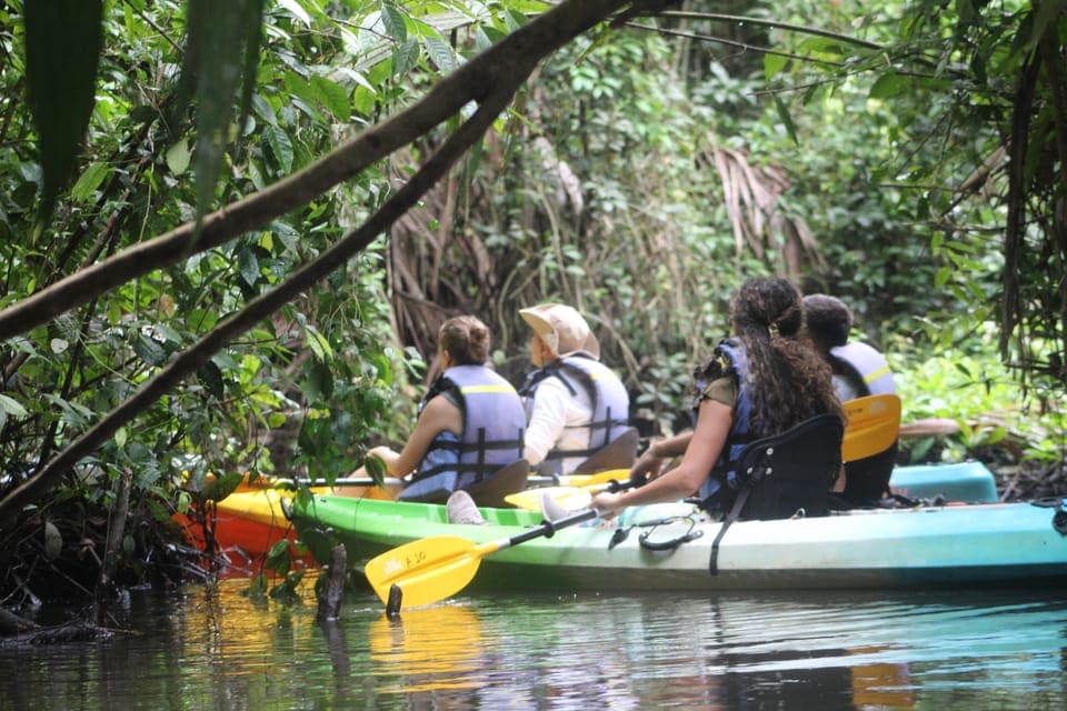 Kayak Tortuguero National Park