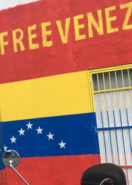 Venezuelan flag painted on a wall and bars with FREE VENEZUELA written above