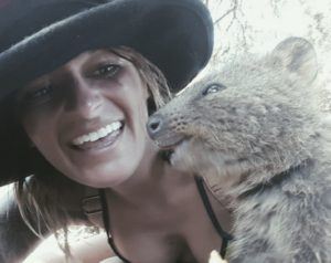 quokka