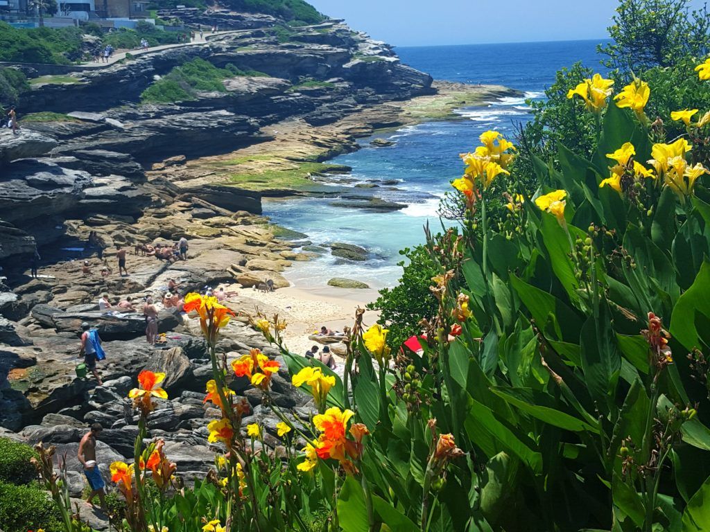 A photo with bright yellow flowers and people hanging out on a rocky beach near bright blue water in Sydney Australia.