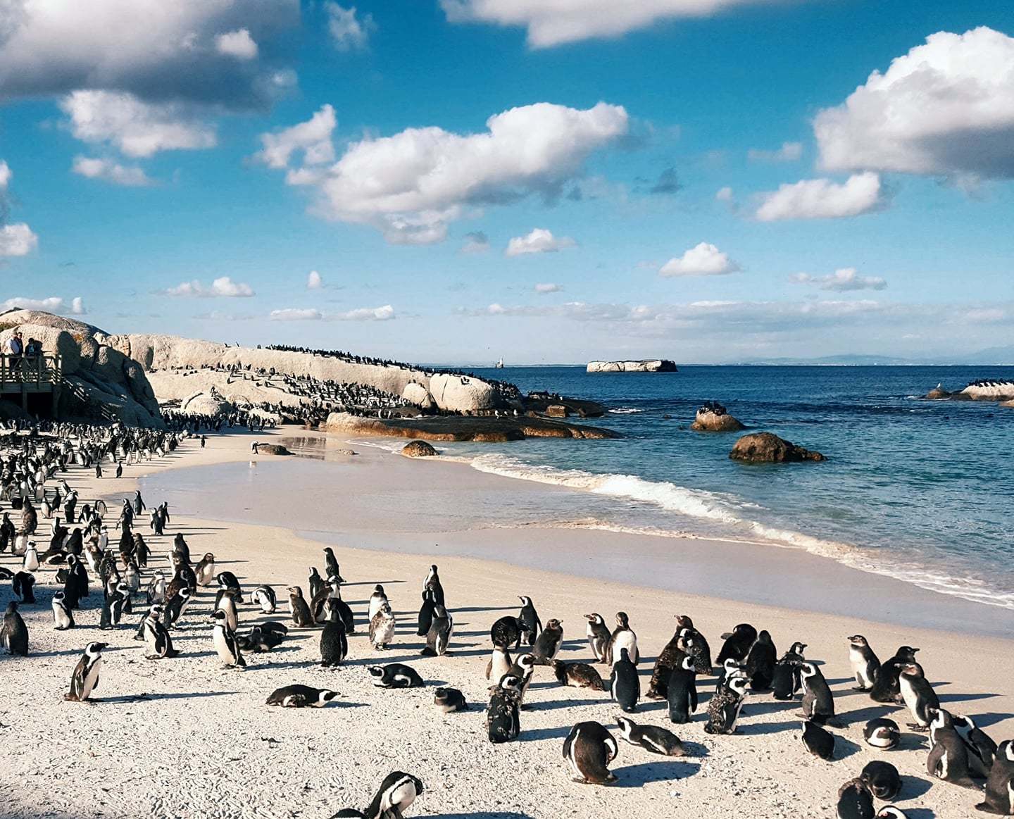 Boulders Beach