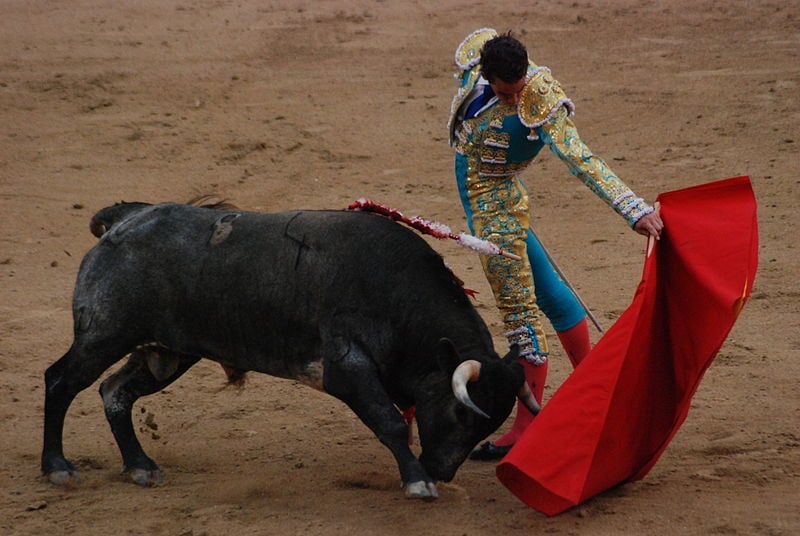 bullfighting in madrid