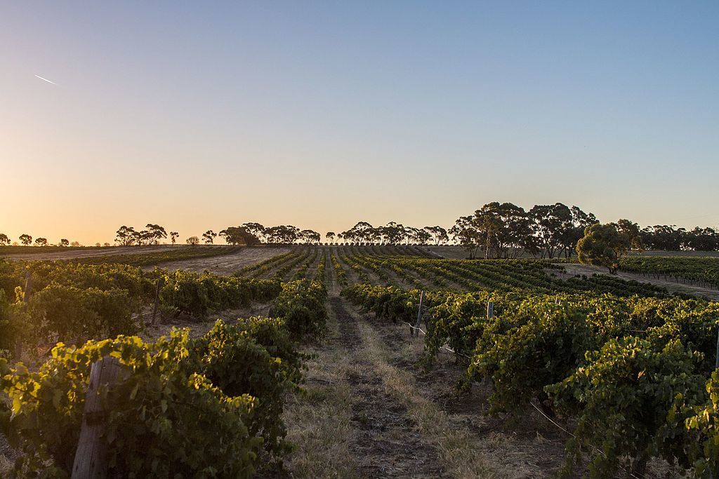 barossa valley adelaide south australia