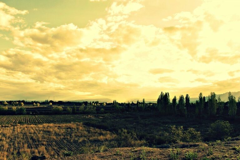 10 INCREDIBLE Hostels in Mendoza, Argentina (Insider Guide!)