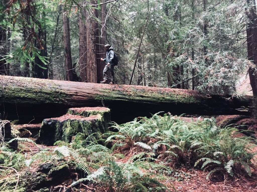 The Arc'teryx Beta AR Jacket is the best waterproof jacket for camping