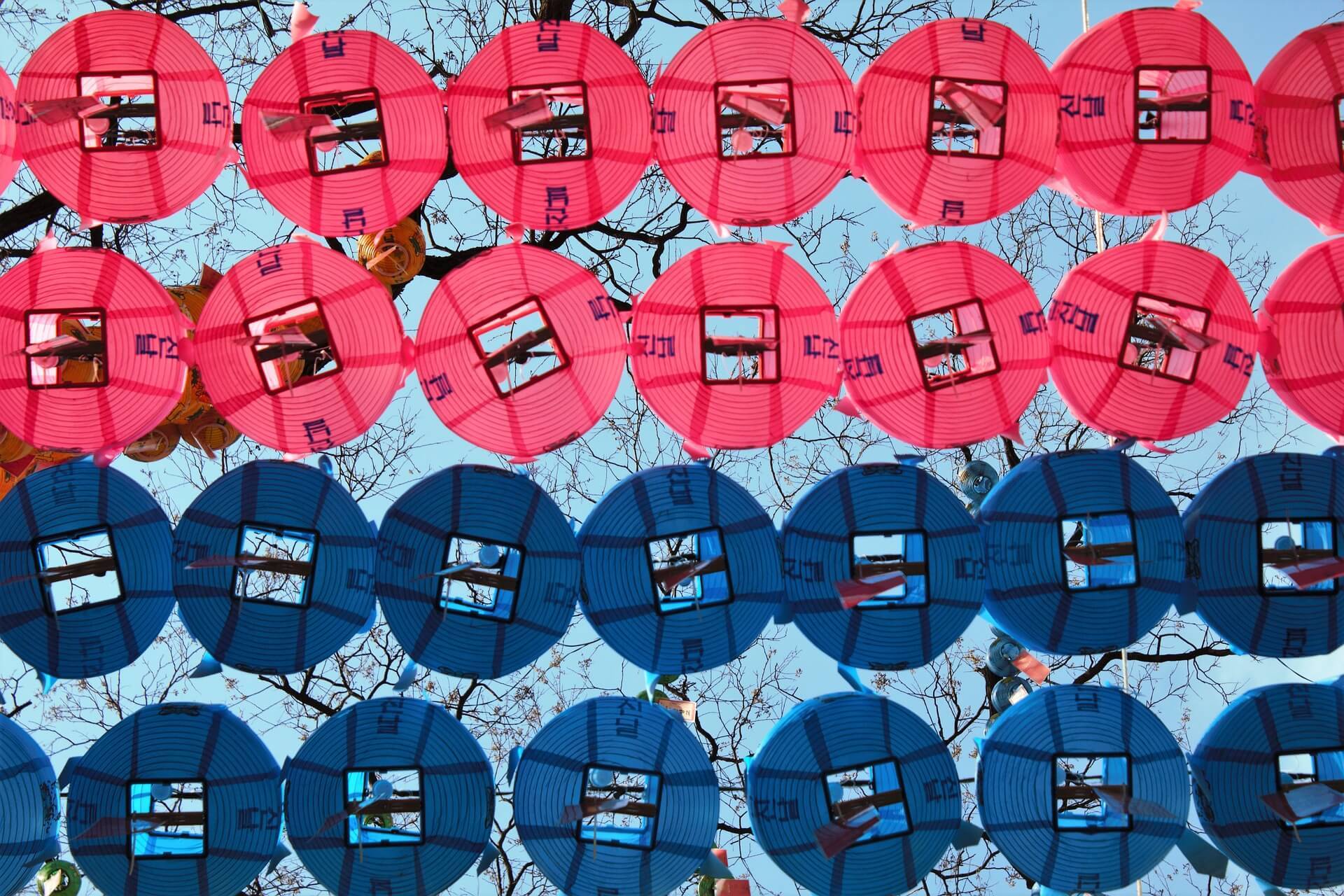 Pink and blue paper lanterns hanging in trees in Insadong