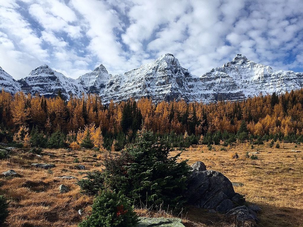 larch valley in banff national park canada