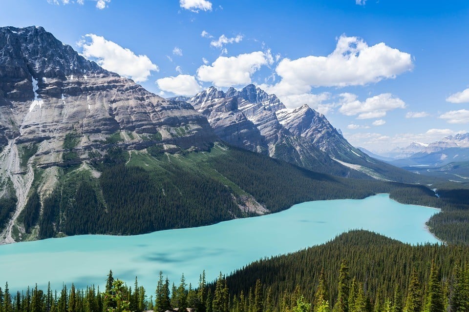 peyto-lake-canadian-rockies