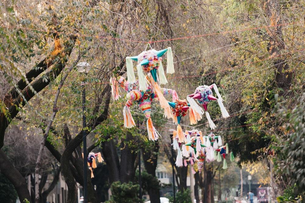 Shutterstock-La Condesa TTD