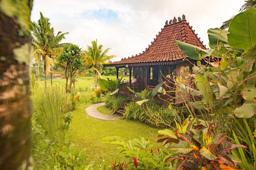 Villa Neyang best villa in Bali