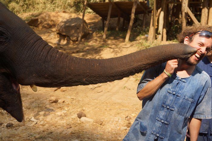 Man being kissed by an elephant at a sanctuary in Thailand