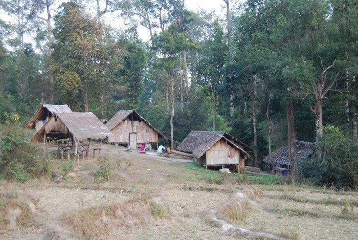 Chiang Mai Jungle Trek