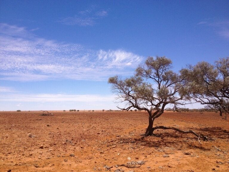 10 EPIC Australia Road Trips: Big, Bold, and Beautiful