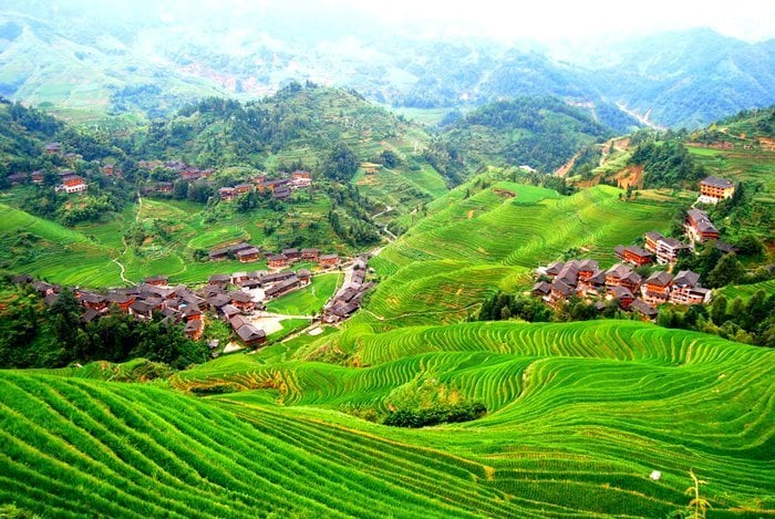 Longji Rice Terraces