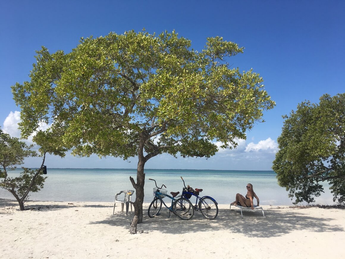 Woman lying on s sun lounger under a tree text to two bikes on white sand next to a blue sea