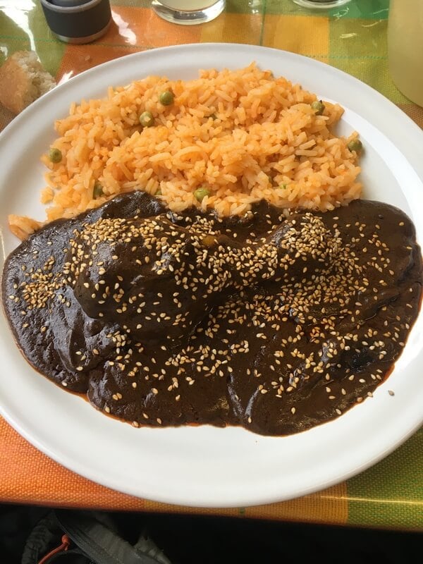 Typical mole sauce dish with rice and chicken. Unique sauce from central Mexico (Puebla and Oaxaca).