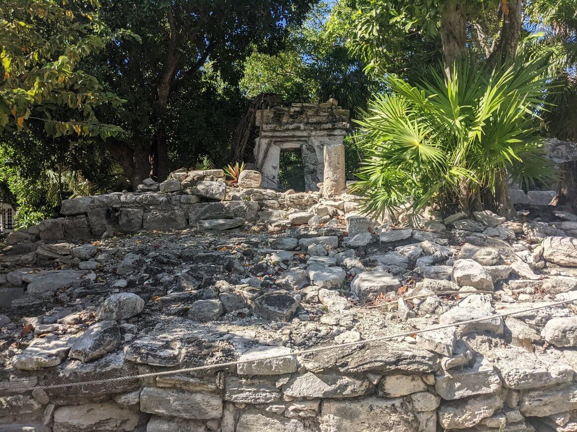 Trees and plants growing out of the ruins of an ancient Mayan stone structure in Playa Del Carmen, Mexico