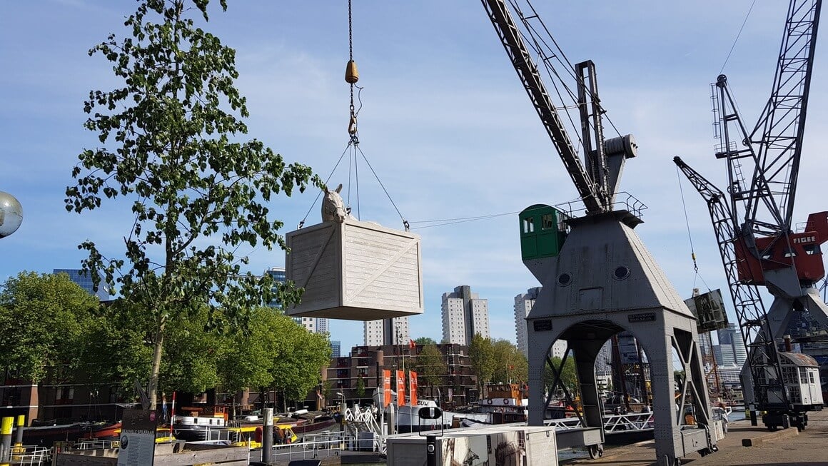 Statue of a horse in a crate suspended in the air by a crane in Rotterdam city centre