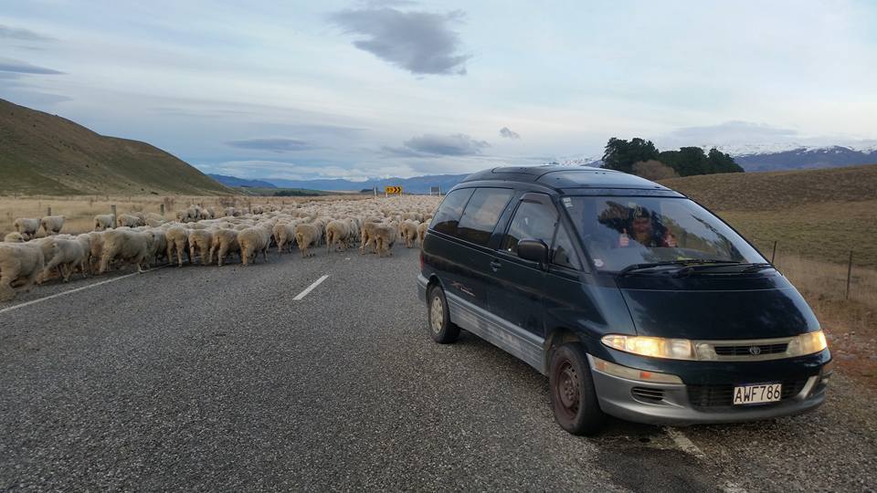 campervanning in new zealand