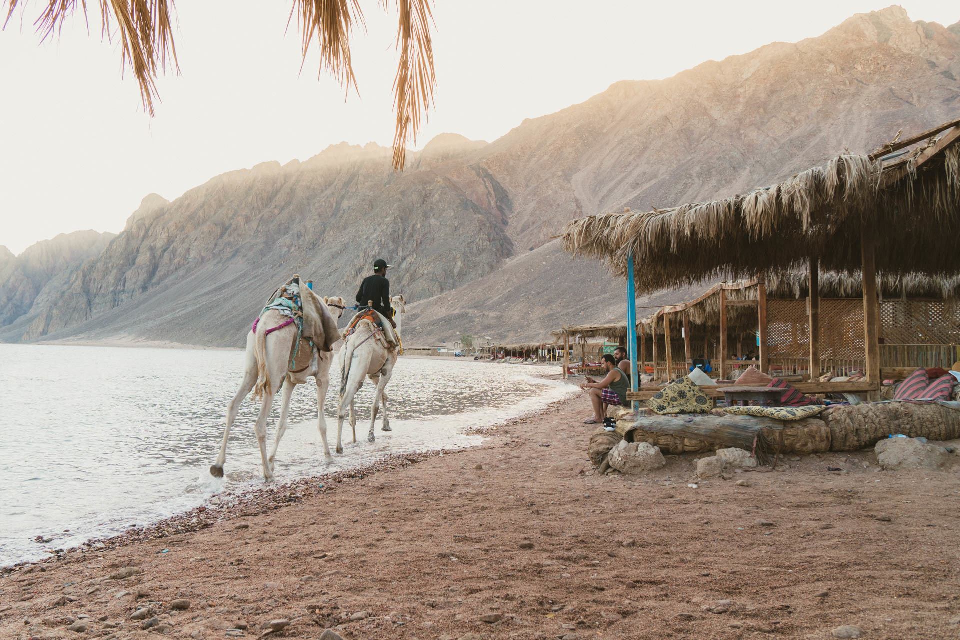 coastline in Dahab Egypt