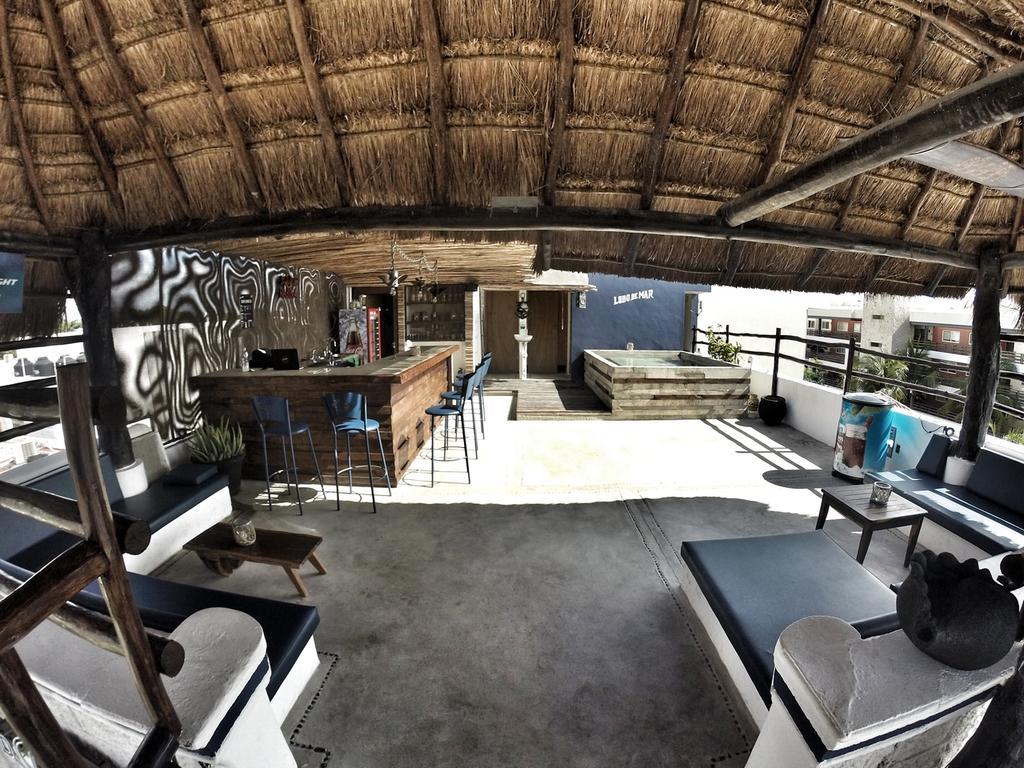 Lobo Del Mar Hostel best hostels in Playa Del Carmen