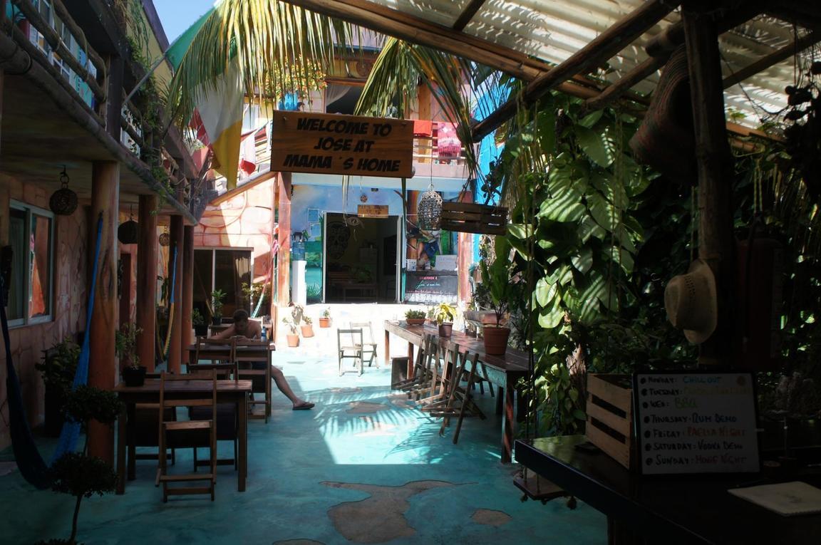 Mama's Home best hostels in Tulum