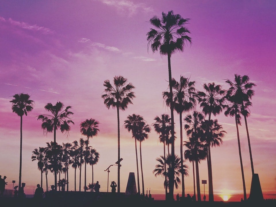 Palm tree and gorgeous skies make backpacking Los Angeles dreamy...
