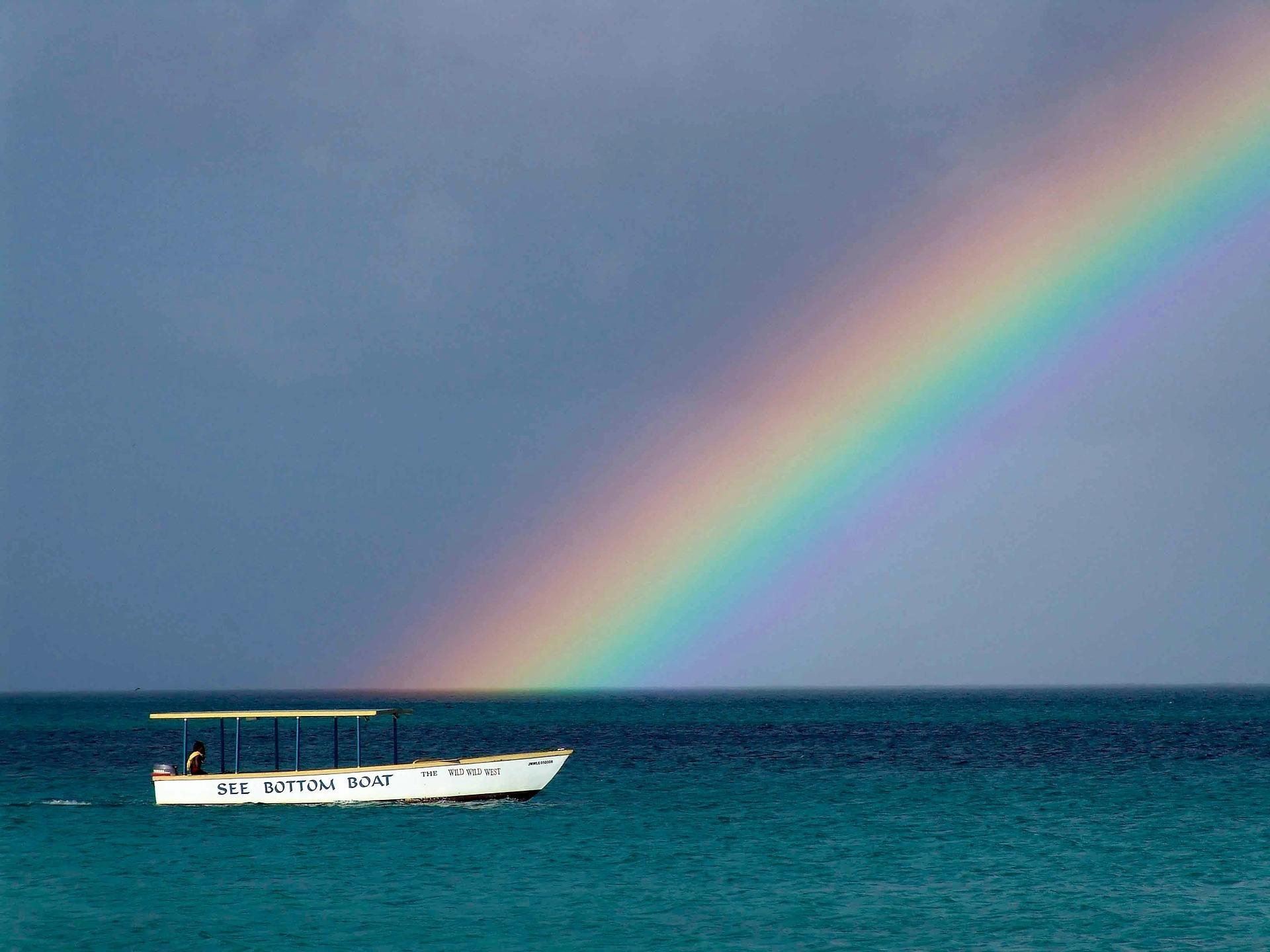 Neighborhood Jamaica