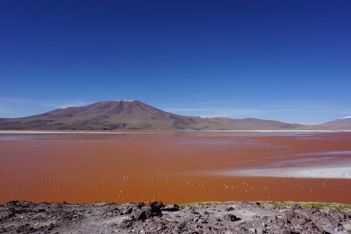 Bolivia Salt Flats Tour