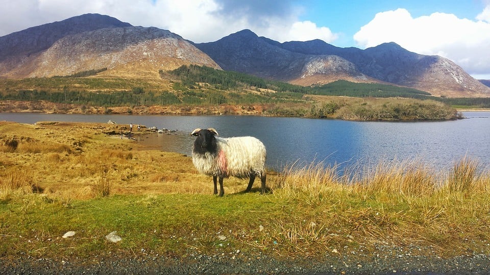 best hikes in ireland