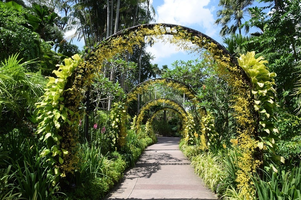 singapore botanic gardens