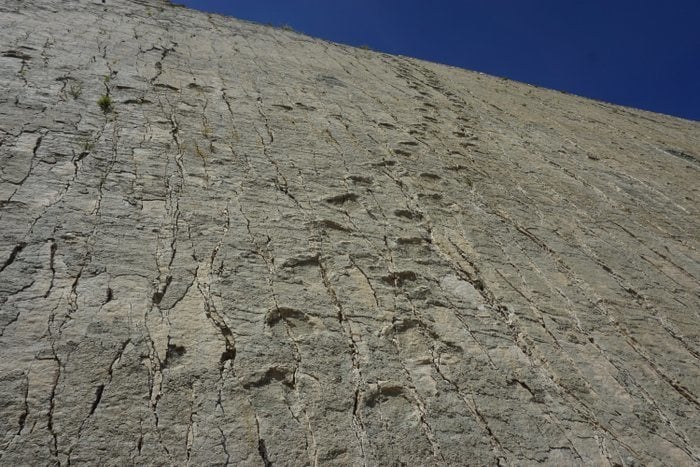 Dinosaur tracks in Sucre