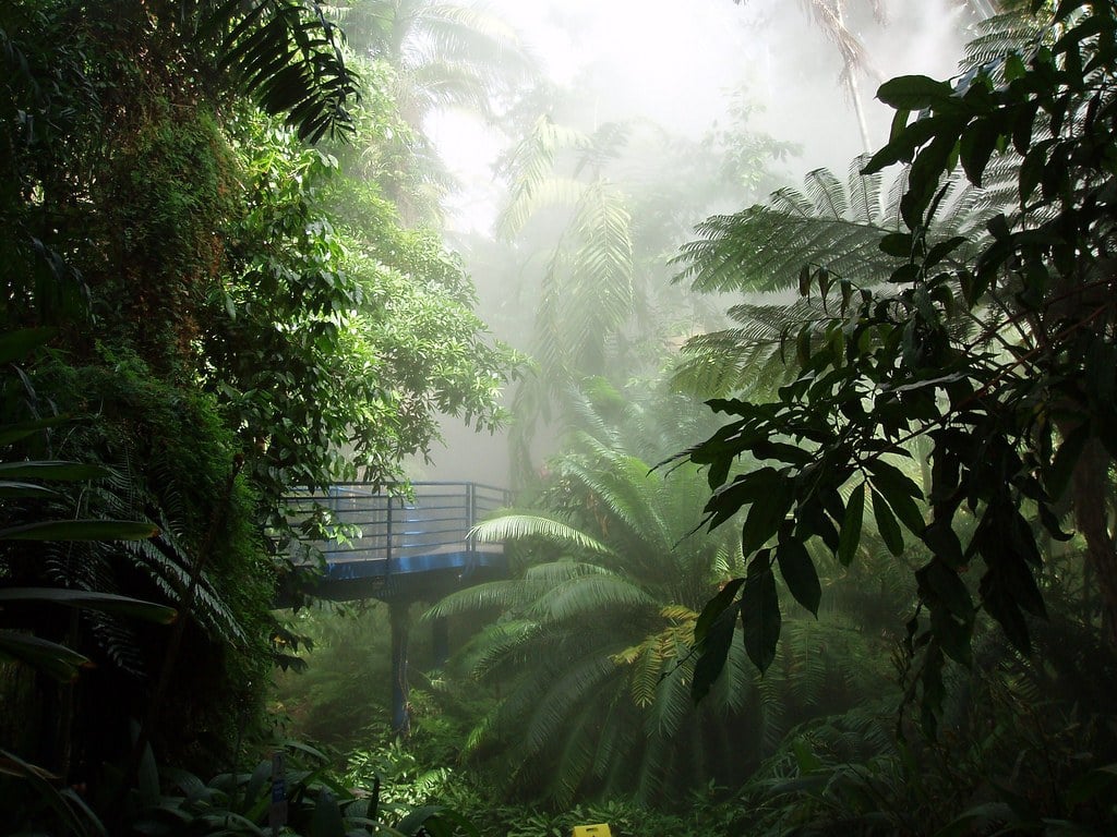 adelaide Bicentennial Conservatory