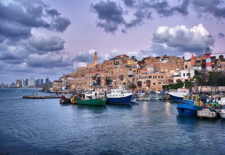 Everything You Need to Know about Volunteering in Israel